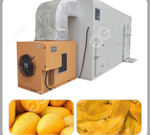 https://www.mangoprocess.com/wp-content/uploads/2022/01/mango-drying-machine-500x451.jpg
