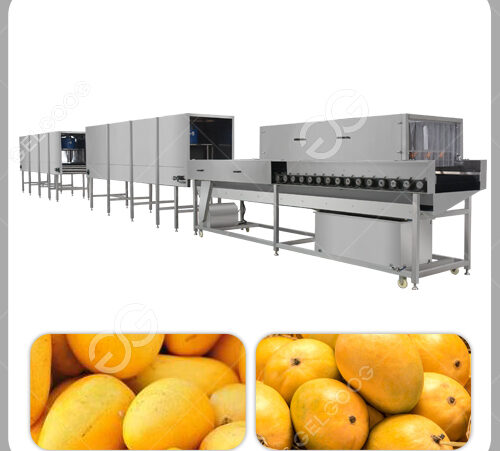 https://www.mangoprocess.com/wp-content/uploads/2022/01/mango-waxing-machine-500x451.jpg